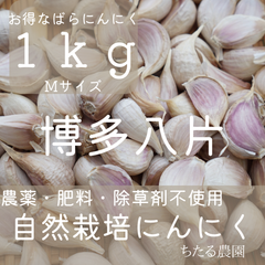 自然栽培にんにく お得なバラ片 1kg