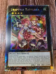 2025年最新】フレシアの蟲惑魔 シークレットの人気アイテム