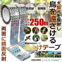 Item thumbnail for item 013e43e7-3436-4578-823f-69008b08fa84