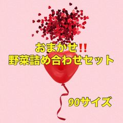 金曜日発送‼️おまかせ野菜詰め合わせセット‼️90サイズのサムネイル