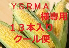 １箱・１３本・クール便・Y.S.R.M.A様専用・ゴールドラッシュ
