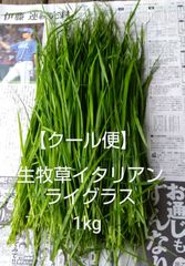 【クールメルカリ便】生牧草★イタリアンライグラス★1ｋｇ★北海道産★農薬除草剤不使用