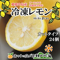 希望の島 国産レモン 500g×24個 【冷凍カットレモン レモンサワー用】