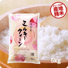 米 新潟県産ミルキークイーン5kg お米 令和6年産 白米 送料無料（沖縄のぞく）