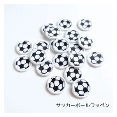 6枚 イングランドプレミアリーグ サッカー ロゴエンブレム