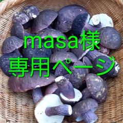 天然きのこ74　ムラサキヤマドリ500g