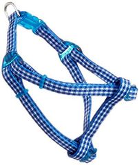 Item thumbnail for item 1e431b5f-030a-4819-b132-3c4ab645f1a6