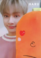 2025年最新】HARU トレカ seventeenの人気アイテム - メルカリ