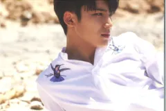 SEVENTEEN Al1 MINGYU ポストカード