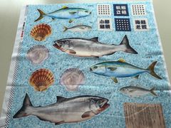 お魚屋さん　産地直送‼︎ リアルシーチングプリント