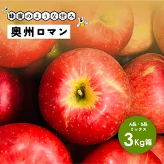 「奥州ロマン3キロ箱A品B品」りんご 信州産 産地直送（6～15玉） 長野県産 安曇野 幻の林檎  超希少品種のサムネイル