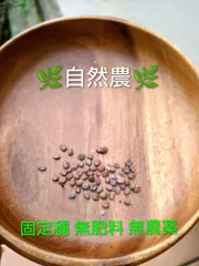 ふじ宮重大根の種 60のサムネイル