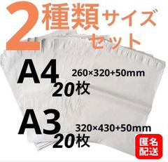 【匿名配送】LDPE宅配袋 宅配ビニール袋 A4/A3　各20枚　テープ付き 透けない 梱包 資材 ２種類セット