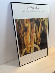 Cy Twombly　ポスター   サイトゥオンブリー
