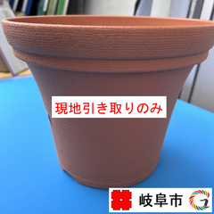 鉢　ノヴェルポット　３０型　5個セット