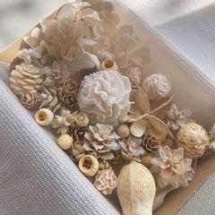 ドライフラワー ドライ ナッツ 木の実 詰め合わせ セットˎˊ˗ ホワイト　ナチュラルミックス 紫陽花　　No.34