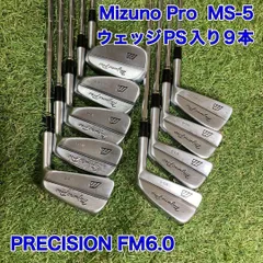 2025年最新】MIZUNO MS-5の人気アイテム - メルカリ