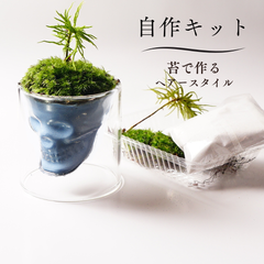 【制作キット】水色砂 苔テラリウム 70mm 骸骨 スカルグラス 髪型 ヘアースタイルキット   テラリウム 自作 作成キット
