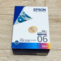 【ジャンク品】エプソン EPSON 純正 カラリオ対応 インクカートリッジ カラー 2個パック  ジャンクインク 推奨期限切れ ML-2400529-011-OM