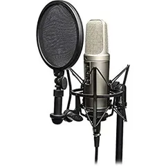 Amazon | RODE Microphones ロードマイクロフォンズ NT2-A