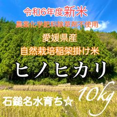 令和6年度新米　愛媛県産ヒノヒカリ10kg　自然栽培稲架掛け 農薬化学肥料不使用