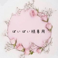 ぽいぽい様専用