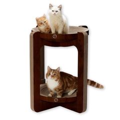 Item thumbnail for item c8c1fa9d-63ca-494c-a22c-970f9772b315