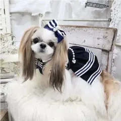 ルルドール　ストライプネイビーワンピース 3S-Mサイズ ドッグウェア  犬服 犬 服 女の子 小型犬 inu