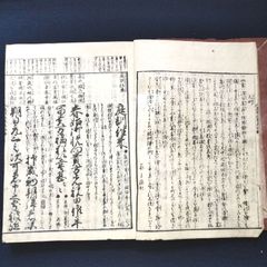 ◇掛軸 書画◇筍/たけのこ 在銘 落款有り 紙本 アンティーク