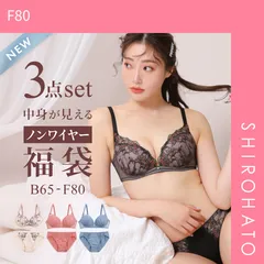 10％OFF【SHIROHATO公式】【正規品・新品】選べる4タイプ ノンワイヤー ブラジャー ショーツ 3点セット 刺繍レース＆ワントーンレース 福袋 アンダー80 下着 レディース 大きいサイズ(F80)