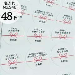 【名入れ無料】メッセージシール48枚　熨斗風　No.S46