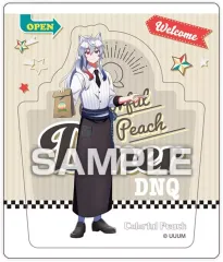 【中古】食玩 雑貨 どぬく 「カラフルピーチ マグネットコレクションガム カラピチダイナー」