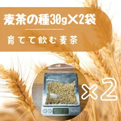 2025年最新】六条大麦 種の人気アイテム - メルカリ