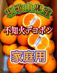 ハウス栽培の完熟デコポン「甘デコ」 <BR>和歌山県産【送料無料