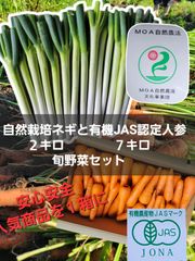 たい自然栽培ネギ×M～SSサイズ有機栽培にんじん　野菜セット