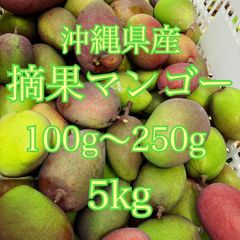 沖縄県産　摘果マンゴー　箱込5キロ