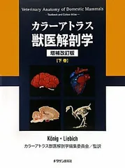 2024年最新】カラーアトラス獣医解剖学〈下巻〉の人気アイテム - メルカリ