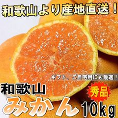 みかん 和歌山県産 ミカン 蜜柑 秀品 10kg 【訳なし】【サイズが選べる】 ※発送開始予定日:10月中旬頃