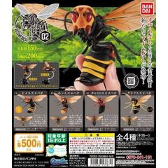 バンダイいきもの大図鑑スズメバチ 02モンスズメバチ  チャイロスズメバチ