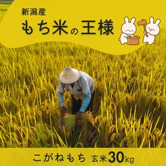 2025年最新】玄米 30kg送料込みの人気アイテム - メルカリ 2025年最新】玄米 30kg送料込みの人気アイテム - メルカリ