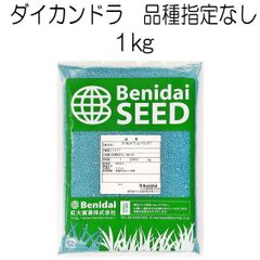 ダイカンドラ種子（コート種子）1kg　紅大貿易【種】グランドカバーの種
