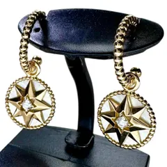 2025年最新】ローズデヴァン ピアスの人気アイテム - メルカリ