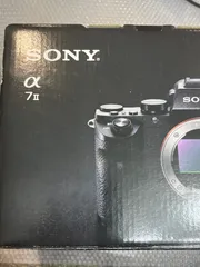 最終値下げ★すぐ使える★付属品多数★SONY★ILCE-7M2★a7II★α7Ⅱ α7 II | デジタル一眼カメラα（アルファ） | ソニー