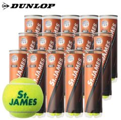 DUNLOP(ダンロップ) 硬式 テニスボール St.JAMES(セント・ジェームス) 60球