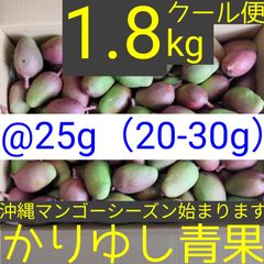 沖縄県産マンゴー