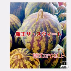 熊本県産　スイカ　羅王ザ・スウィート　3L 8〜9㌔　農家直送