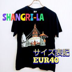 SHANGRI-LA　紫　Tシャツ　サイズEUR40　コットン100％　古着
