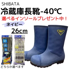 2025年最新】シバタ工業の人気アイテム - メルカリ