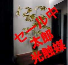 光触媒 人工観葉植物 ウォールグリーン フェイクグリーン ユッカツリー 