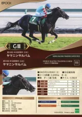 タスティエーラ　Dレーン世界限定　ホースレーシングカード　台座付 タスティエーラ Dレーン 世界限定 ホースレーシングカード 専用